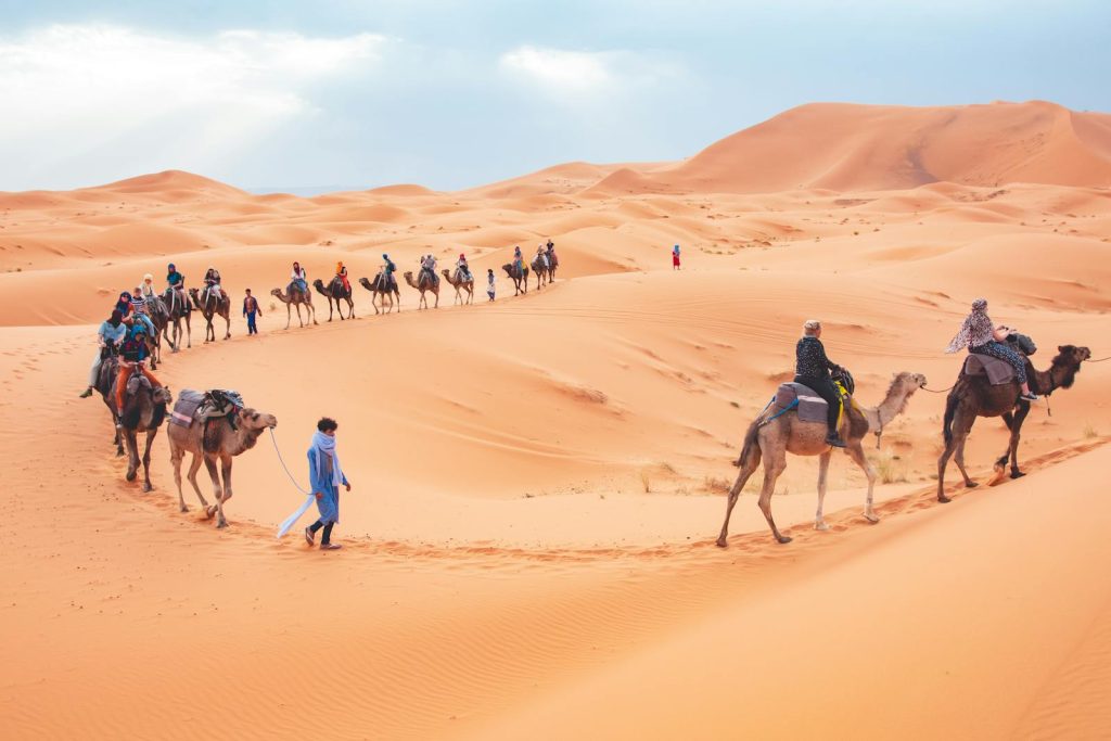 Tourists ride camels across the scenic sand dunes of Merzouga, Morocco.