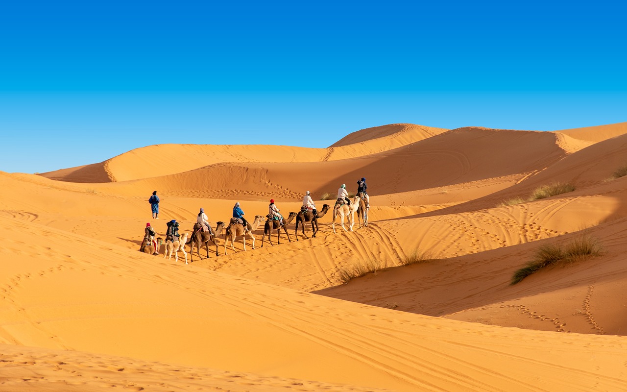 desert, the sand dunes, caravan, camel, berber, morocco, sahara, landscape, africa, sand, hot, nature, adventure, dune, drought, sky, peace of mind, marroc, travels, tourism, mood, erg chebbi, merzouga, merzouga, merzouga, merzouga, merzouga, merzouga