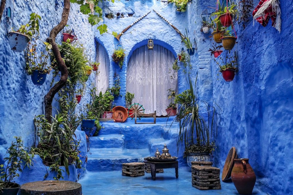 a blue alley with potted plants and a bench