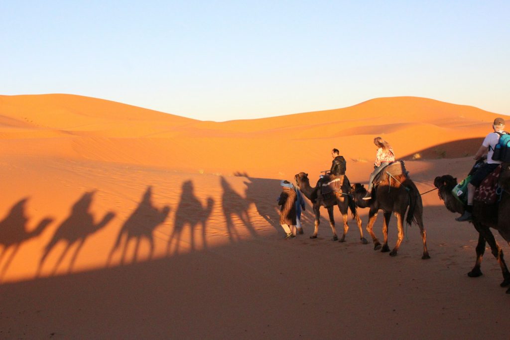 people riding camel on desert during daytime